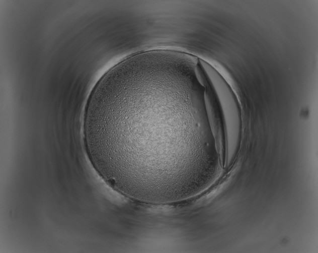 X0000091530957200708241709