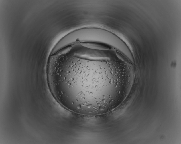 X0000091530959200708241709