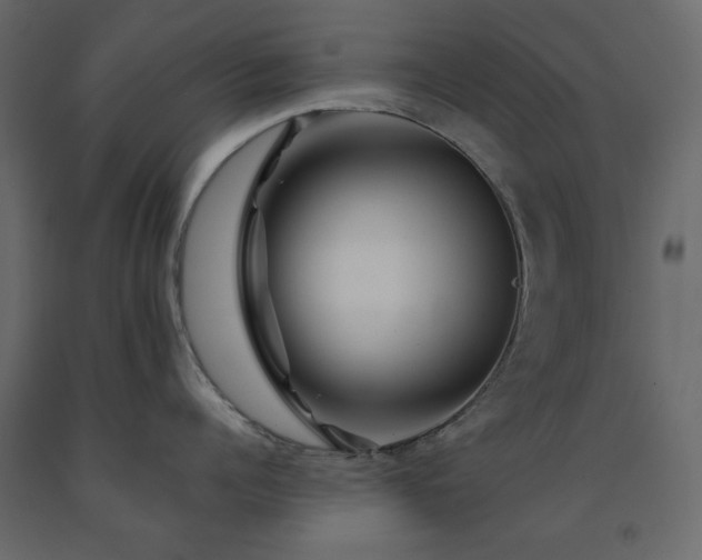 X0000091530960200708241709