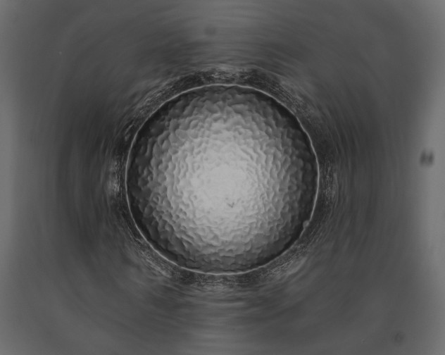 X0000091530962200708241708