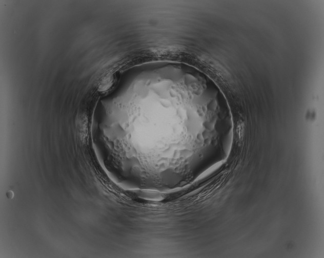 X0000091530963200708241708