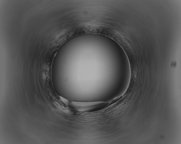X0000091530964200708241708
