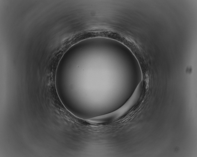 X0000091530965200708241708