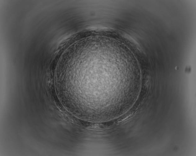 X0000091530966200708241708