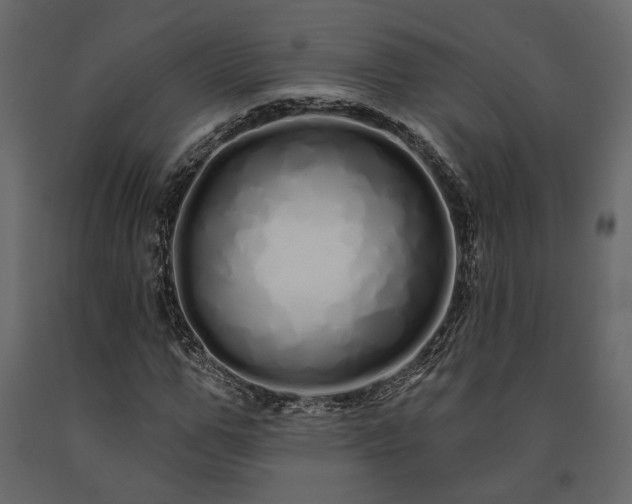X0000091530967200708241708