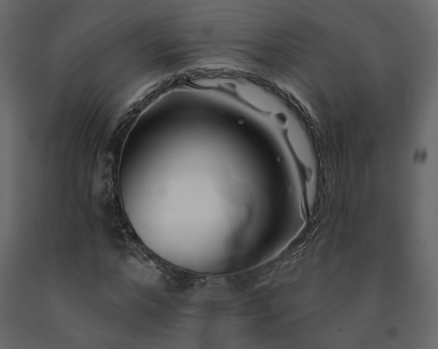 X0000091530968200708241708