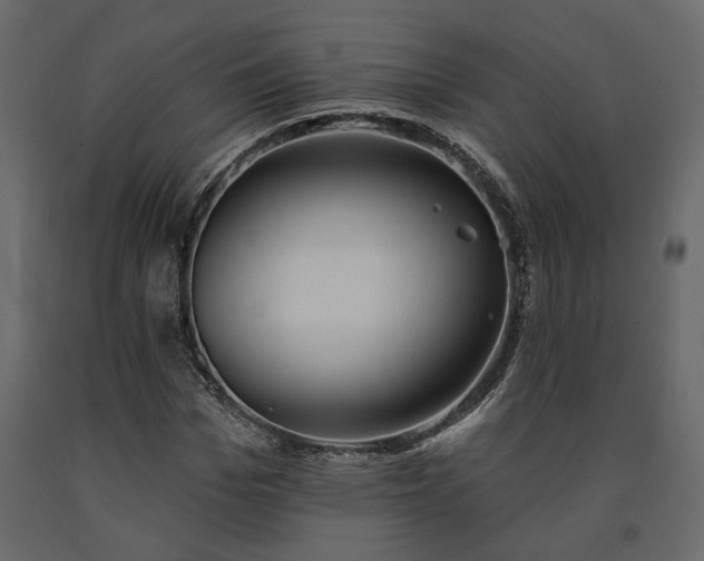 X0000091530969200708241708