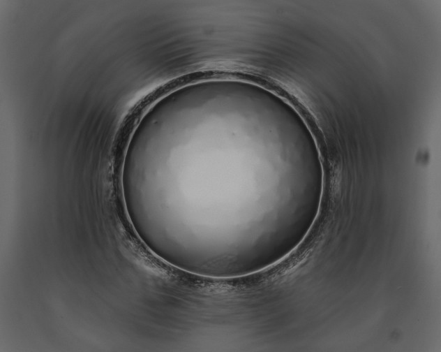 X0000091530971200708241708