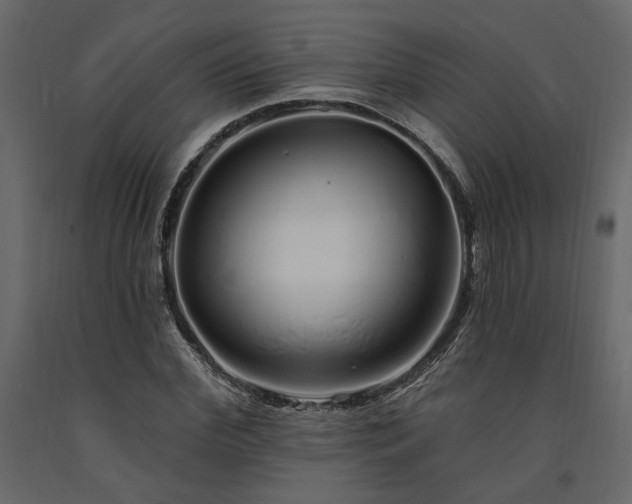 X0000091530972200708241708