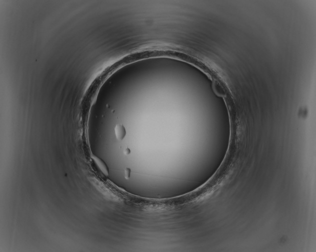 X0000091530973200708241708