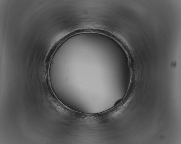 X0000091530974200708241708