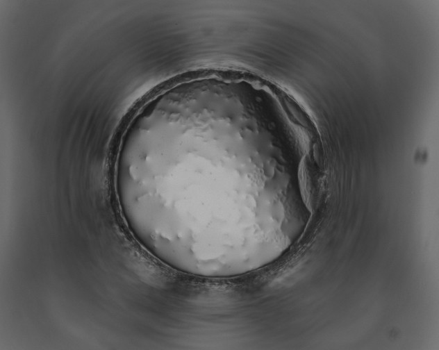 X0000091530975200708241708