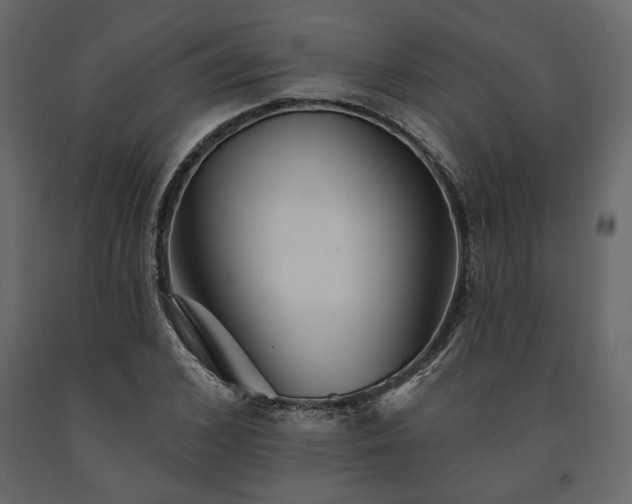 X0000091530976200708241708