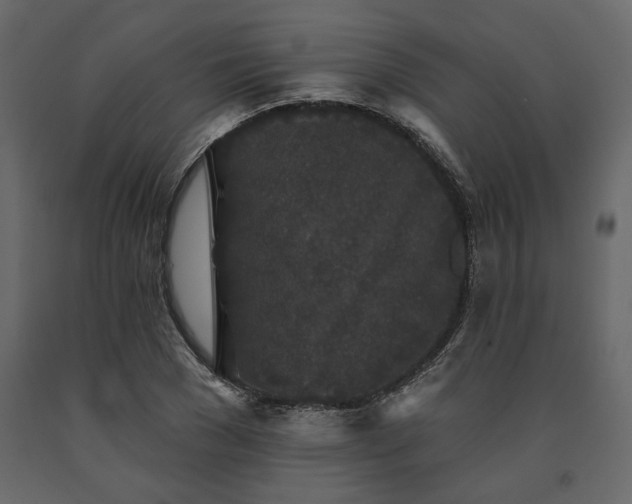 X0000091530977200708241708