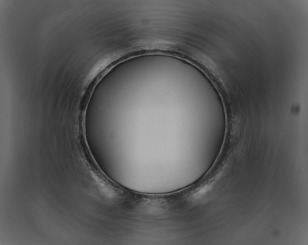 X0000091530978200708241708
