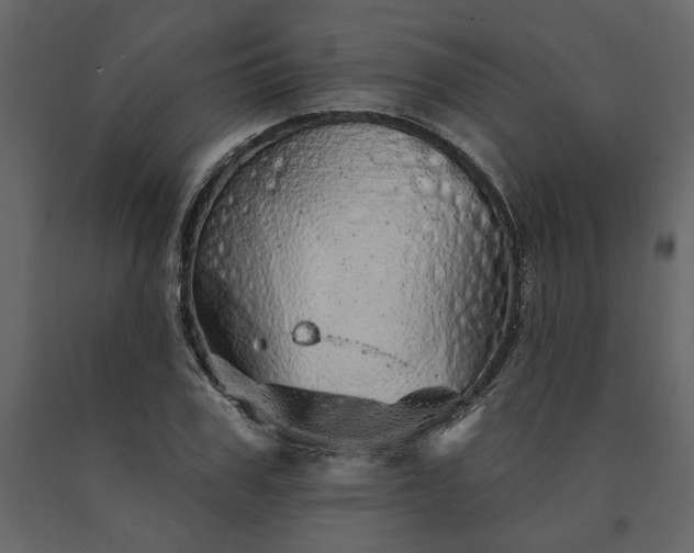 X0000091530979200708241708