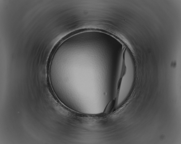 X0000091530980200708241708