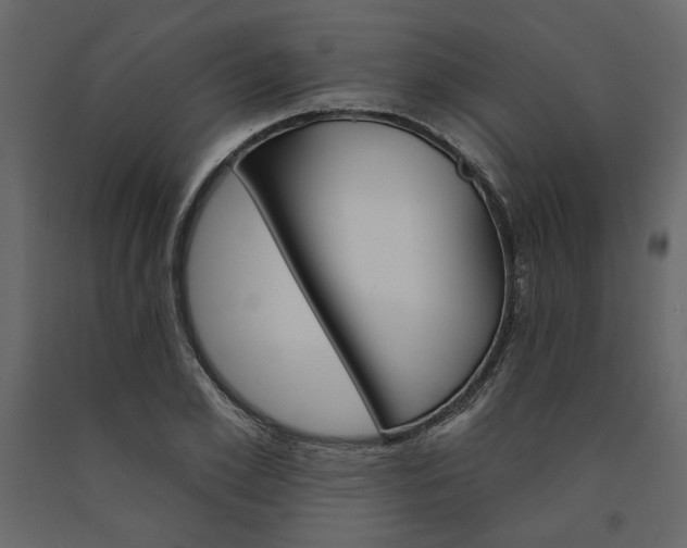 X0000091530981200708241708