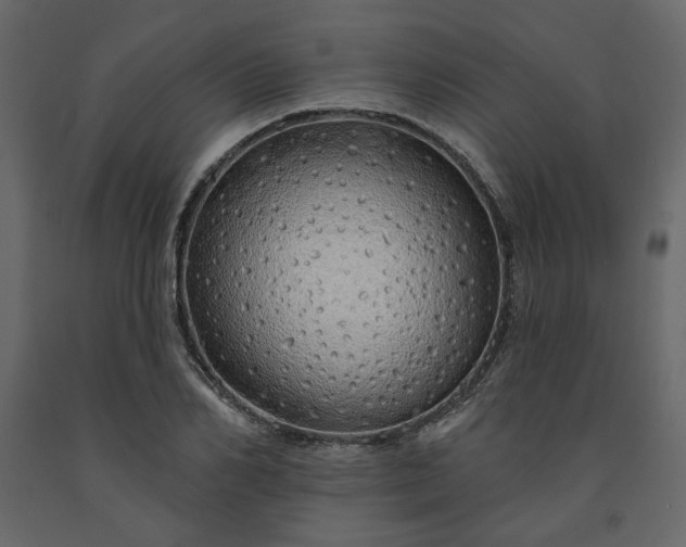 X0000091530982200708241708