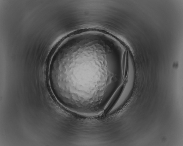 X0000091530983200708241708
