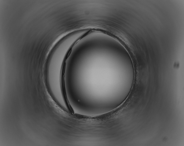 X0000091530984200708241708