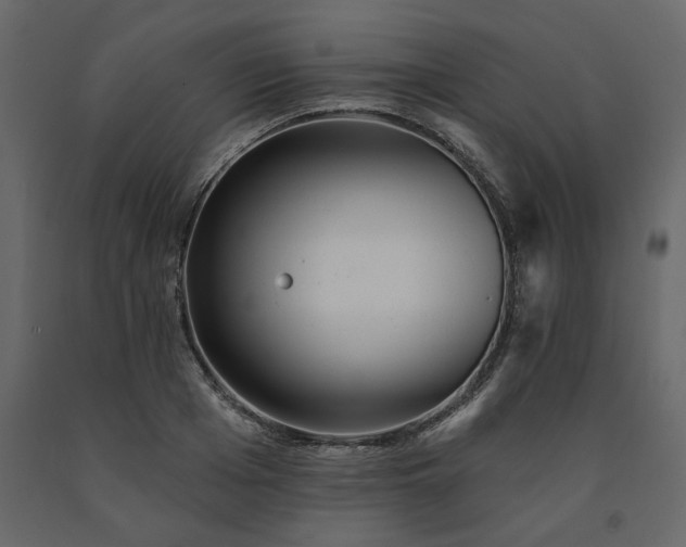 X0000091530985200708241708