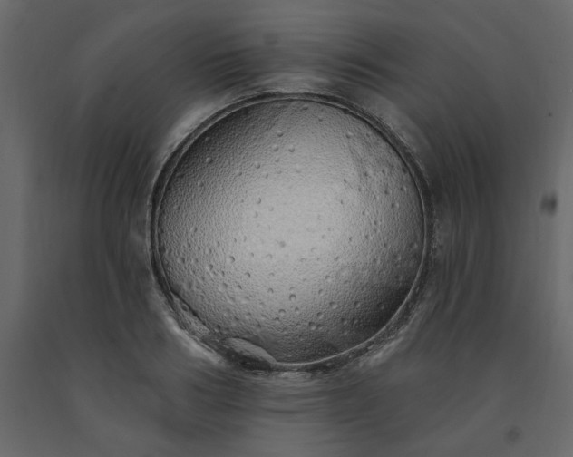 X0000091530986200708241708