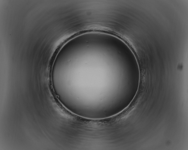X0000091530987200708241708