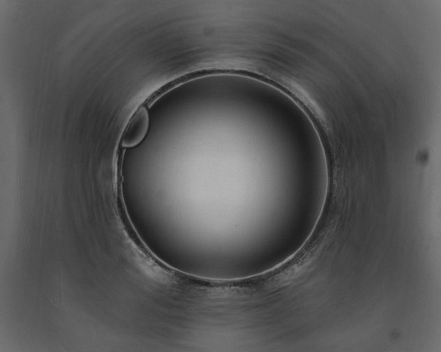 X0000091530988200708241708