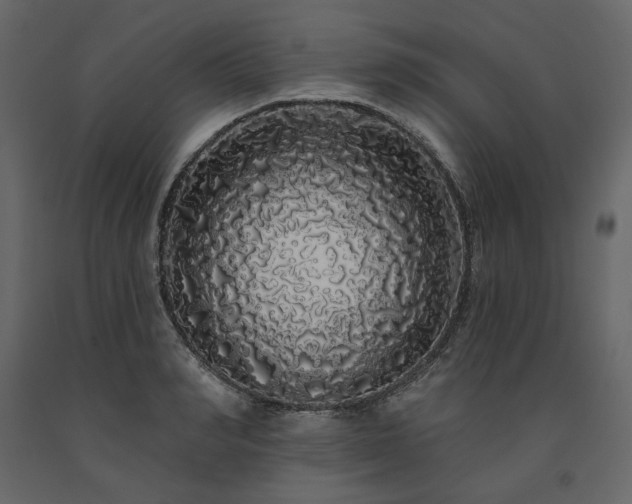X0000091530990200708241708