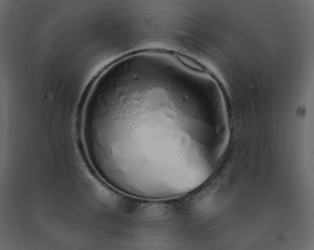 X0000091530991200708241708
