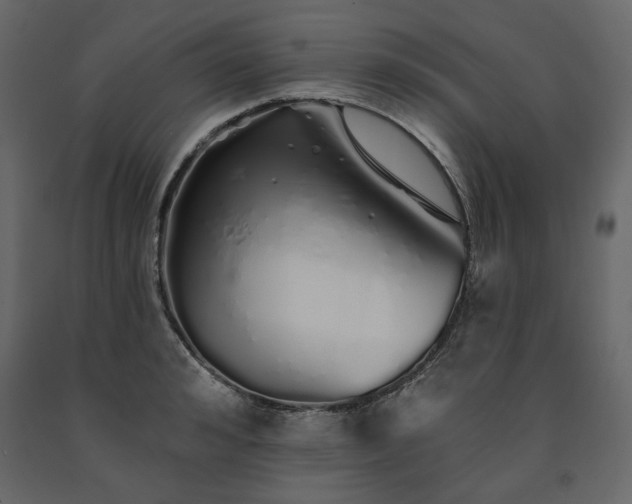 X0000091530992200708241708