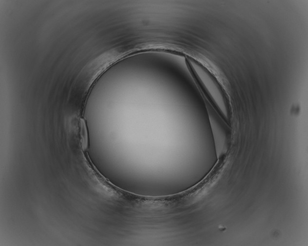 X0000091530993200708241708
