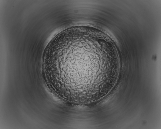 X0000091530994200708241708