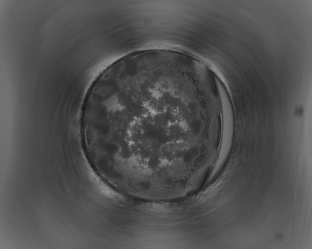 X0000091530995200708241708