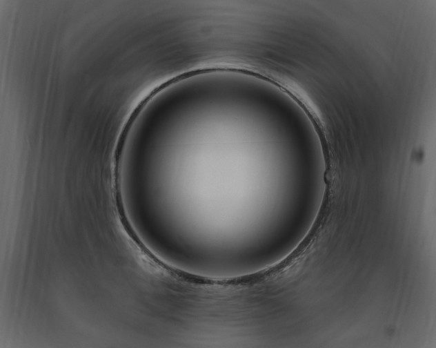 X0000091530996200708241708