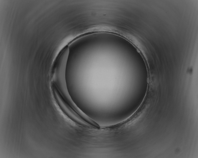 X0000091530997200708241708