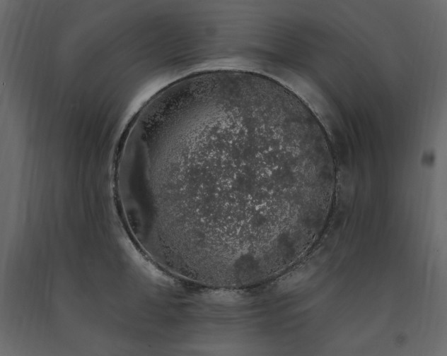 X0000091530998200708241708