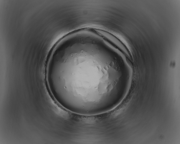 X0000091530999200708241708