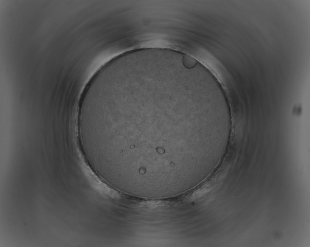 X0000091531000200708241708