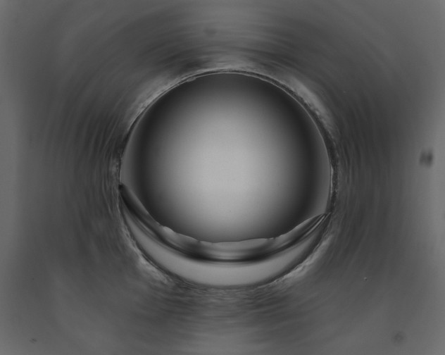 X0000091531001200708241708