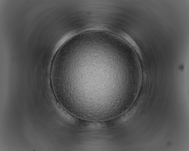 X0000091531002200708241708