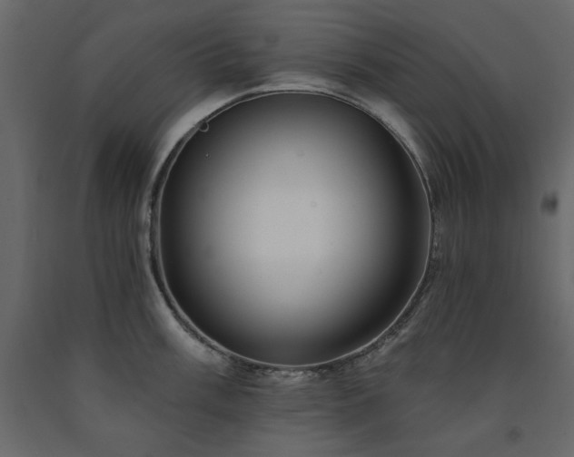 X0000091531003200708241708