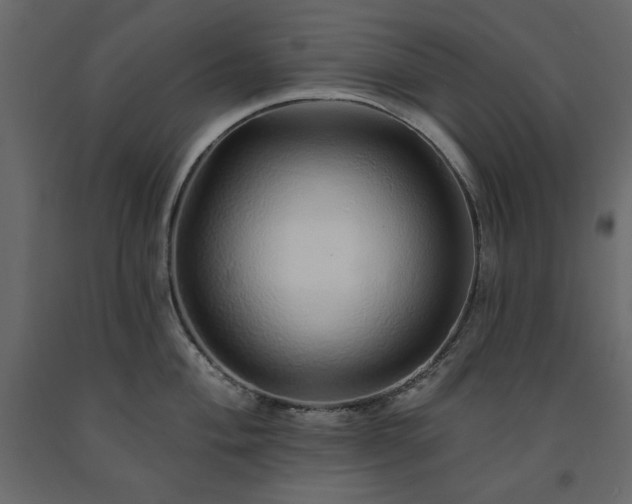 X0000091531004200708241707