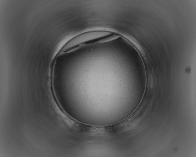 X0000091531006200708241707