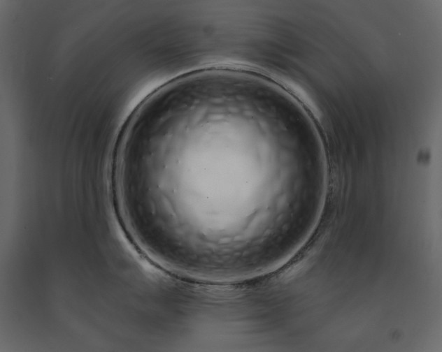 X0000091531007200708241707