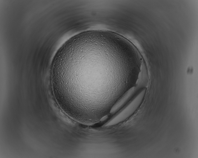 X0000091531008200708241707