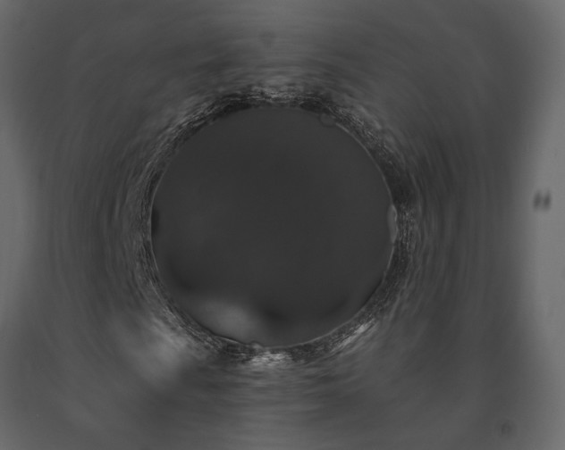 X0000091531009200708241707