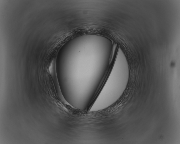 X0000091531010200708241707