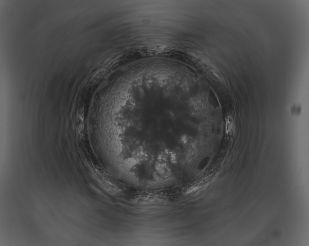 X0000091531011200708241707